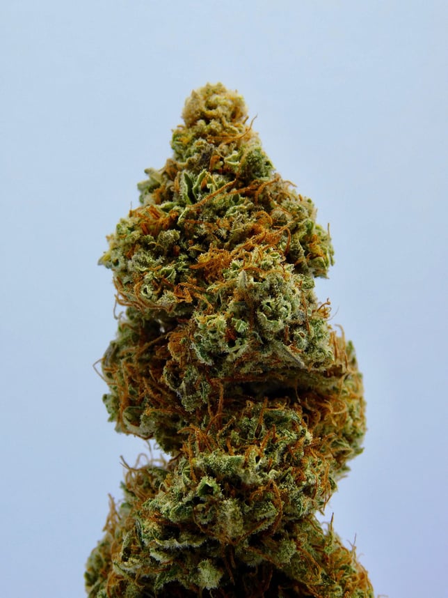 Kosher Kush - Image 5