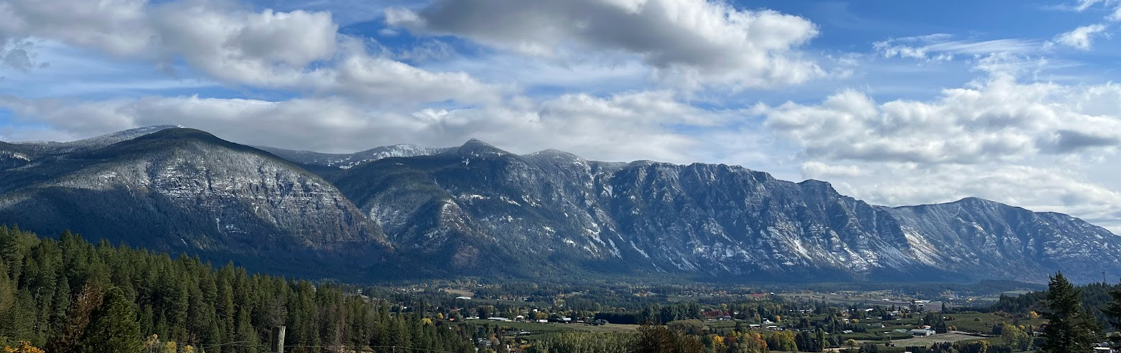 Jane's Shop Marketing Banner